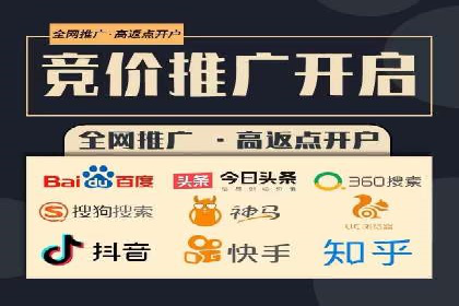 XX行业竞价广告的投放策略与效果分析
